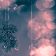 Illustration for article titled Shooting Challenge Gallery: Duotone II
